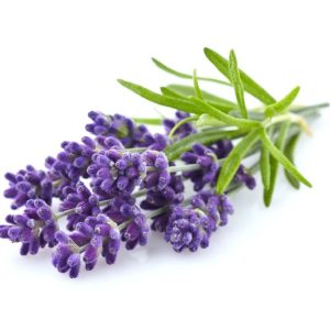 روغن مراقبت کننده اورجینال برند Balen کد 52325269