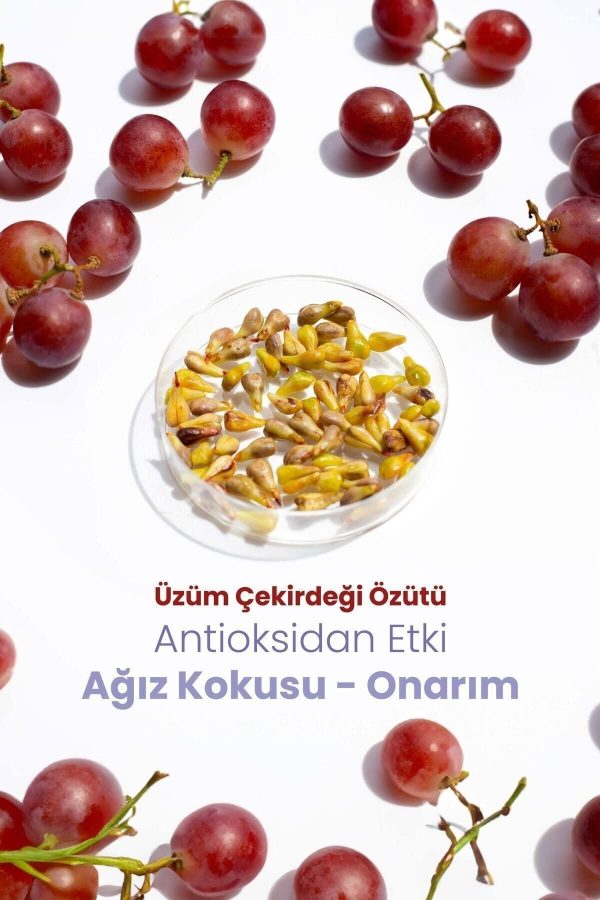 خمیر دندان اورجینال برند Probident کد 383693098 - Image 4