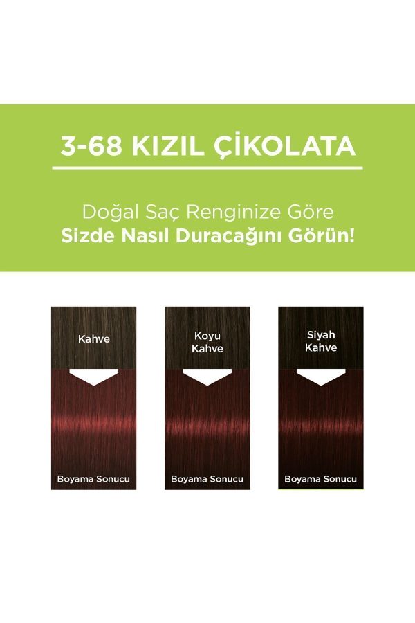رنگ مو اورجینال برند Palette مدل Palette Permanent Natural Colors کد 2913058 - Image 2