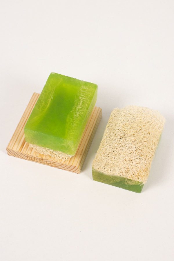 صابون جامد اورجینال برند Proclis مدل Natural Loofah Aloe Vera Soap کد 771126917 - Image 5
