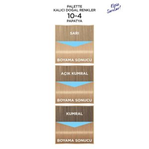 رنگ مو اورجینال برند Palette مدل Permanent Natural Hair Dye کد 132490674