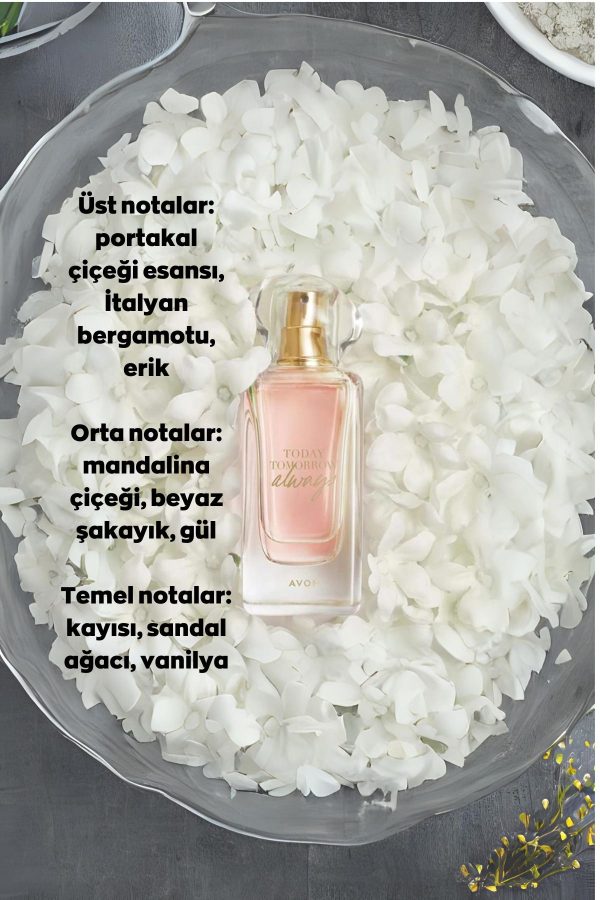 ادکلن اورجینال برند Avon کد 829376763 - Image 2