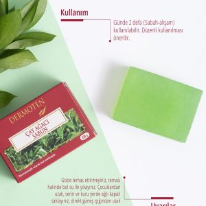 صابون جامد اورجینال برند Dermoten مدل Tea Tree Soap 150 gr کد 184113858
