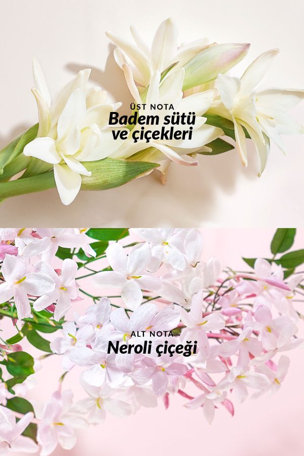 ادکلن اورجینال برند Avon کد 819026706 - Image 3