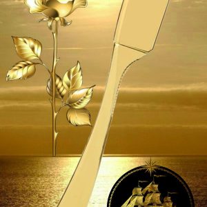 ژیلت و ریش تراش اورجینال برند Qualis کد 798643406