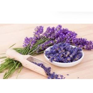 کرم صورت اورجینال برند Ala lavandula کد 831576883
