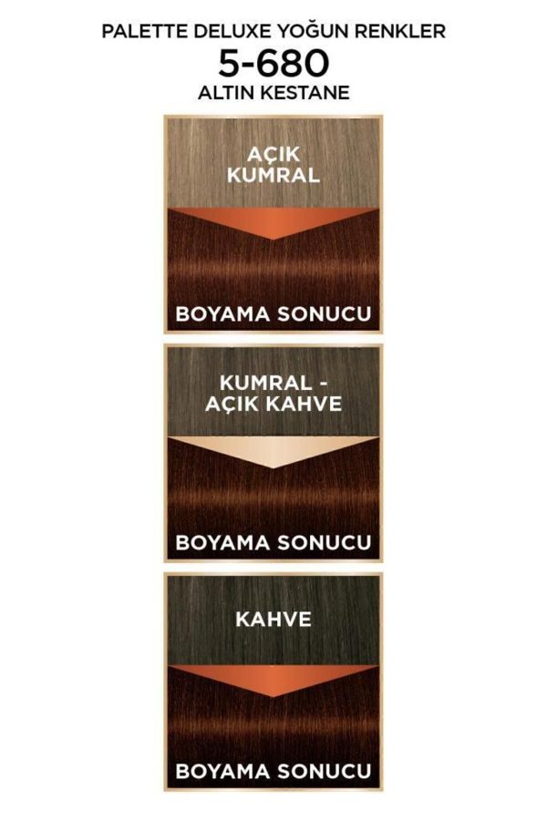 رنگ مو اورجینال برند Palette مدل Palette Deluxe Yoğun Renkler کد 4659902 - Image 5