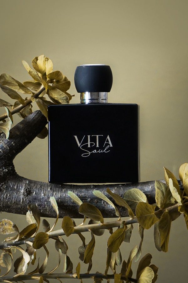 ادکلن اورجینال برند Vita soul مدل Parfum with 33% Perfume Concentration کد 769725578