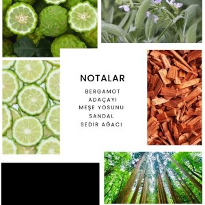 ادکلن اورجینال برند Ixora کد 102874407
