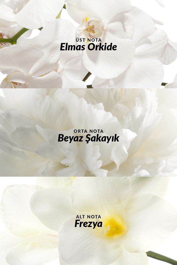 ادکلن اورجینال برند Avon کد 1206472 - Image 3