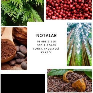 ادکلن اورجینال برند Ixora کد 784747329