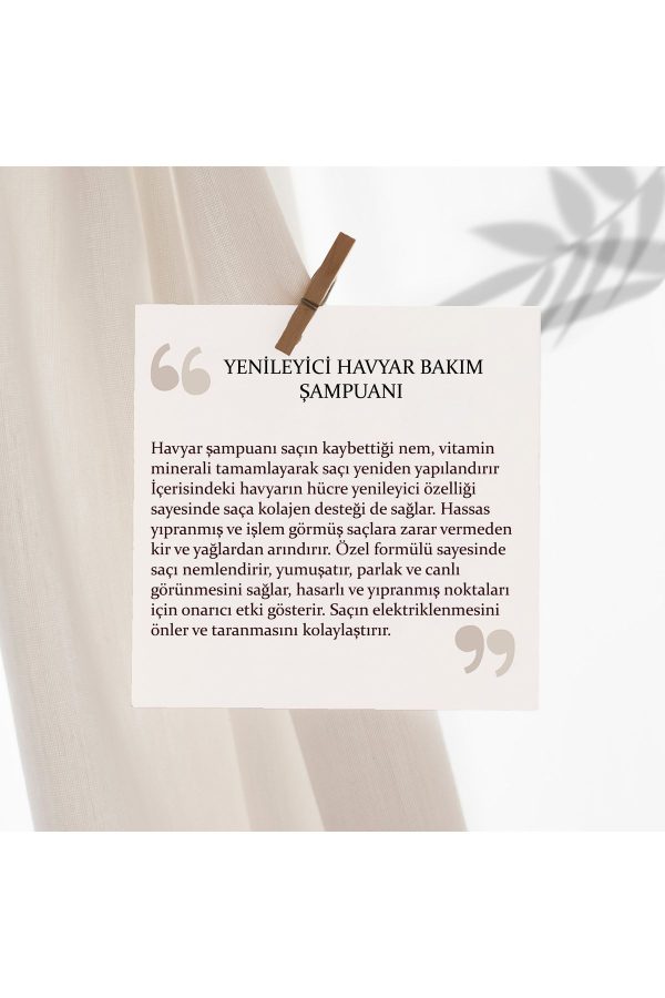 شامپو اورجینال برند Leafcolor مدل Yenileyici Havyar Bakım Şampuanı 500ml کد 825450752 - Image 3