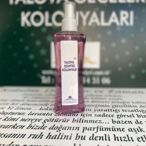 1 org zoom 177827
