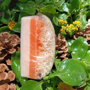 پاک کننده صورت اورجینال برند Natural life concept کد 786012592