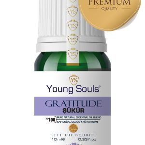 روغن مراقبت کننده اورجینال برند Young souls کد 68789034