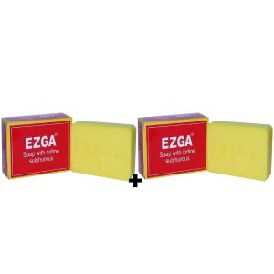 1 org zoom 40028