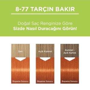 رنگ مو اورجینال برند Palette مدل Permanent Natural Hair Color کد 4425399