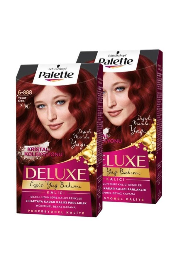 رنگ مو اورجینال برند Palette مدل Palette Deluxe 6-888 کد 4405563