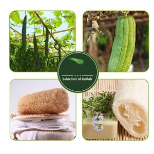 لیف و اسفنج حمام اورجینال برند Beyzana کد 821534980