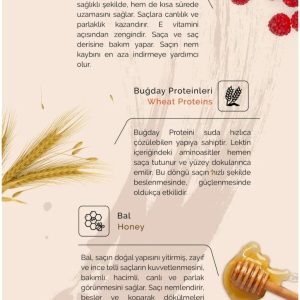 رنگ مو اورجینال برند Native base مدل Koyu Kumral Yoğun Bakır کد 796475589