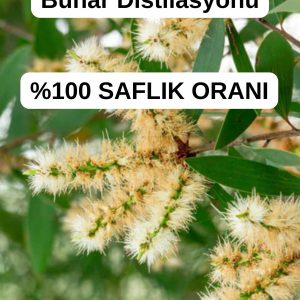 روغن مراقبت کننده اورجینال برند Antik sifa کد 331254821