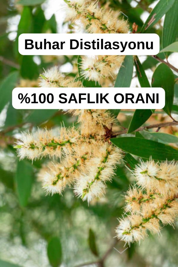 روغن مراقبت کننده اورجینال برند Antik sifa کد 331254821 - Image 2