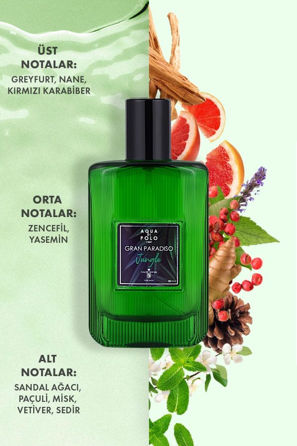 ادکلن اورجینال برند Aqua di polo 1987 کد 33002638 - Image 6