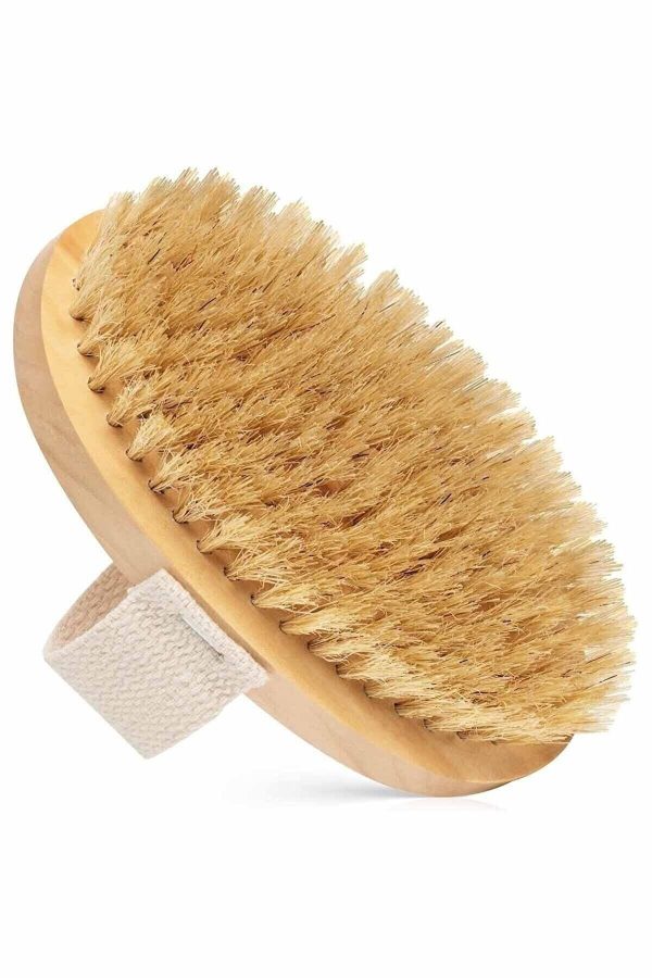 برس سلولیت اورجینال برند Factorial کد 820952817