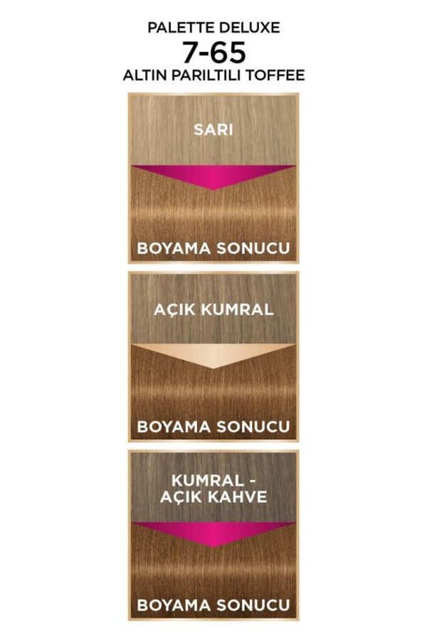 رنگ مو اورجینال برند Palette مدل Palette Deluxe 7-65 کد 4405488 - Image 5