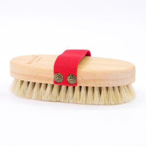 برس سلولیت اورجینال برند Ayse arga کد 793613034