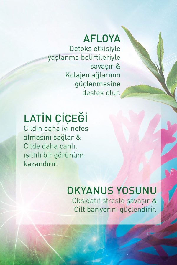 کرم صورت اورجینال برند Yves rocher کد 791909684 - Image 7