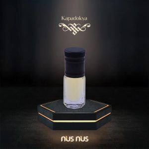 اسانس ادکلن اورجینال برند Nusnus کد 474765703