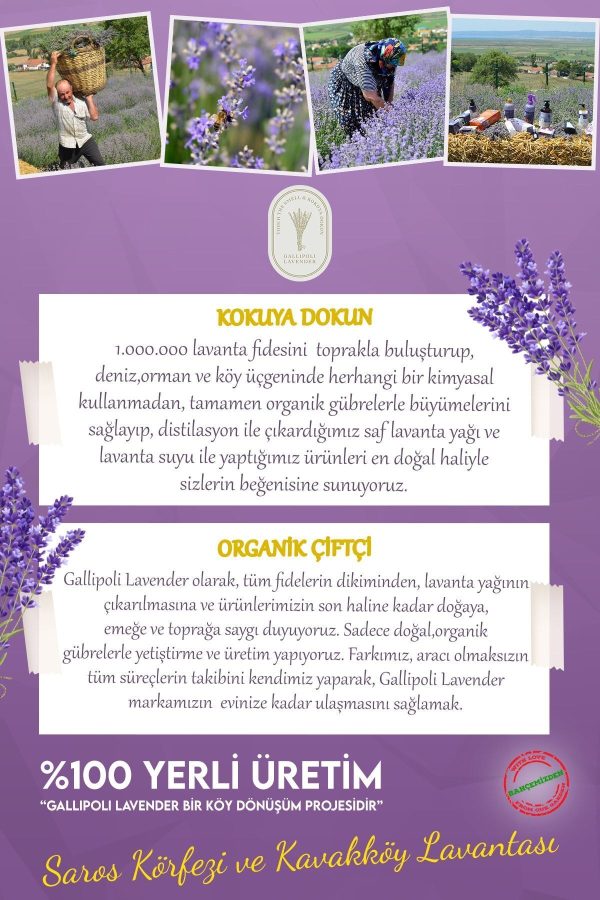 روغن مراقبت کننده اورجینال برند Gallipoli lavender مدل Lavender Oil 10 ml کد 40124615 - Image 3