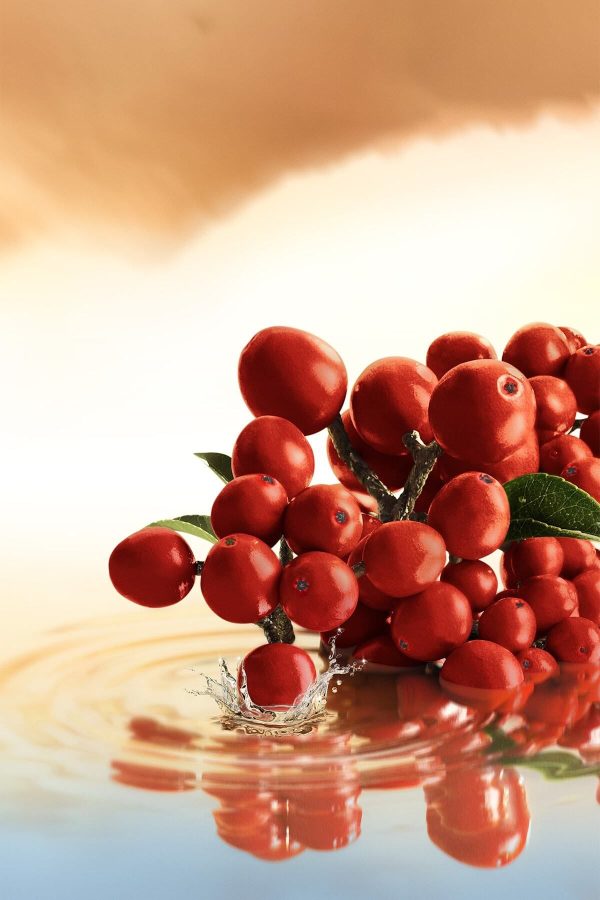 ادکلن اورجینال برند Estee lauder کد 777300423 - Image 6