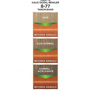 رنگ مو اورجینال برند Palette مدل Palette Permanent Natural Colors کد 211328326