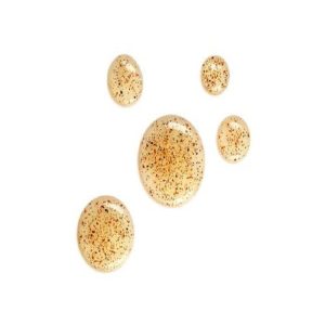 پاک کننده صورت اورجینال برند L occitane کد 745132569