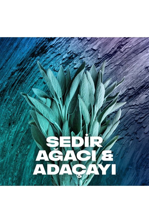 دئودورانت اورجینال برند Axe مدل Apollo کد 80187540 - Image 4