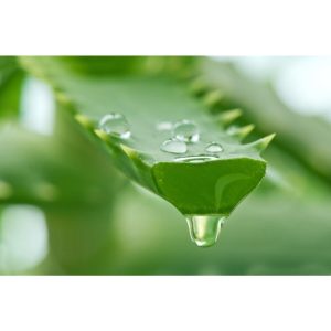 کرم دست اورجینال برند Pazariz کد 134999850
