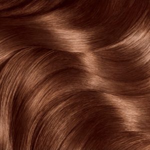 رنگ مو اورجینال برند Garnier کد 220814587