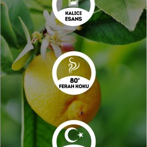 ادکلن اورجینال برند Egeye donus کد 34456094