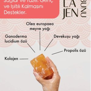 صابون جامد اورجینال برند Dr kalan مدل **[Brand Name]**  **[Product Name]** کد 744139670