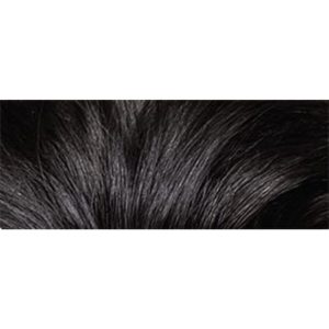 رنگ مو اورجینال برند Neva color مدل Natural Intense Black کد 7048342