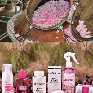 کرم جوان کننده اورجینال برند Lavendrose کد 164504494