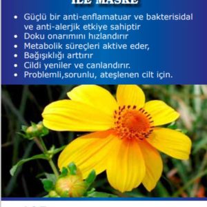 ماسک صورت اورجینال برند Alexdello ad gs مدل **Swallow and Water Lily Mask** کد 39211545