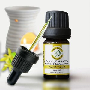 روغن مراقبت کننده اورجینال برند Edy s organics کد 33903464