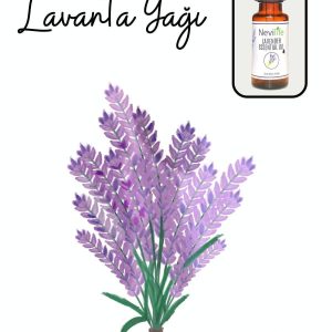 روغن مراقبت کننده اورجینال برند Nevilife مدل Lavanta Yağı 20 Ml کد 646910597