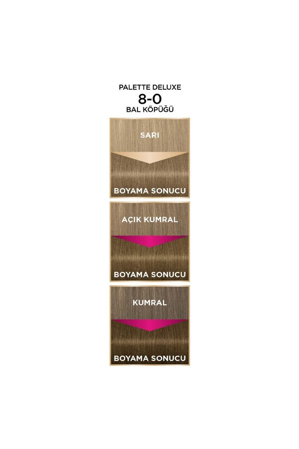 رنگ مو اورجینال برند Palette مدل Bal Köpüğü کد 350148825 - Image 3