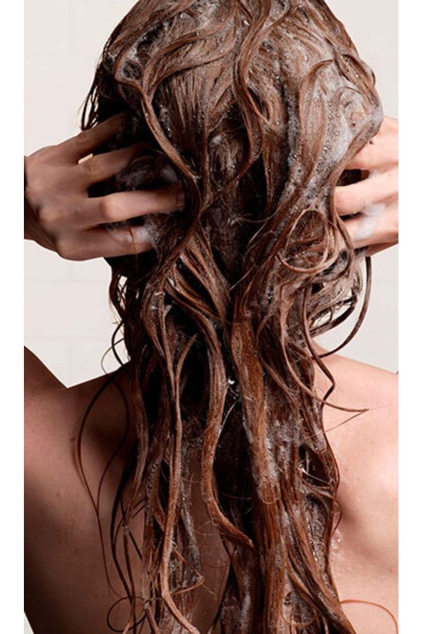شامپو اورجینال برند Aveda کد 267962919 - Image 5