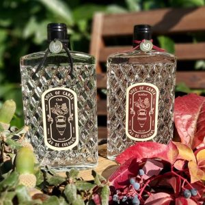 ادکلن اورجینال برند Soul of caria eau de cologne کد 655322450