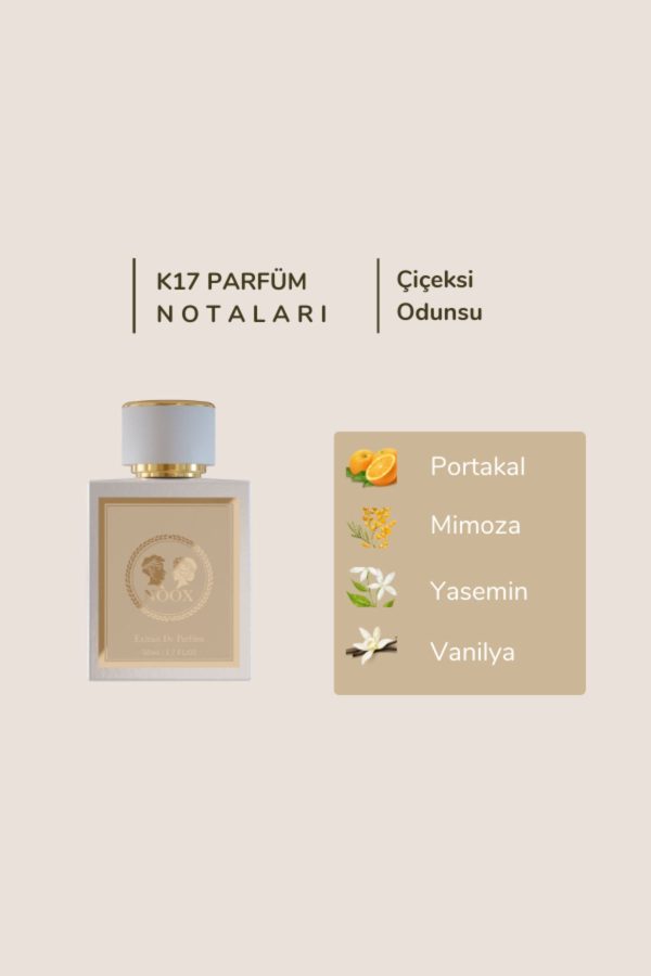 ادکلن اورجینال برند Noox perfumes مدل K17 کد 779071515